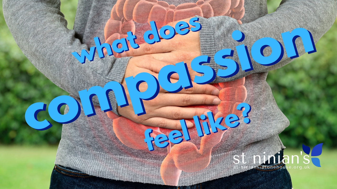 What does compassion feel like?