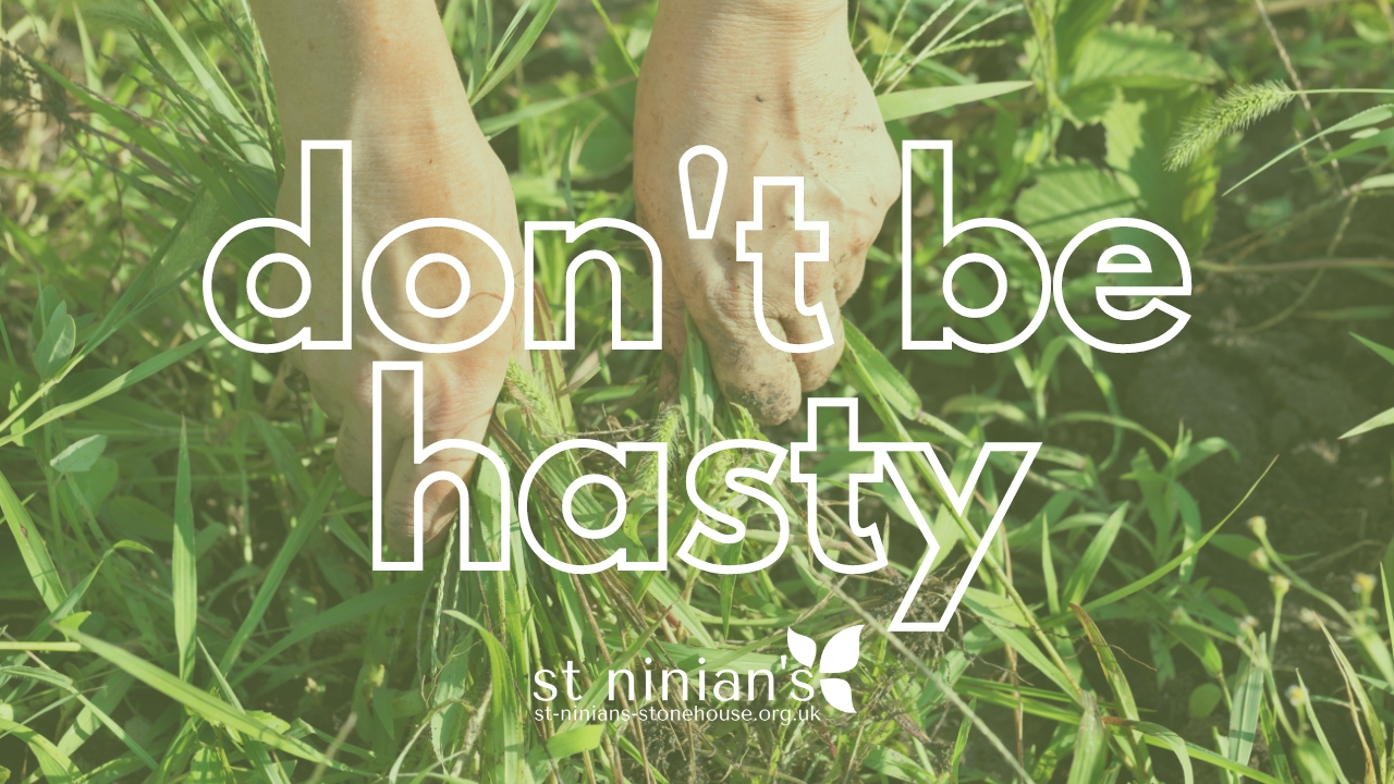 Don’t be hasty!